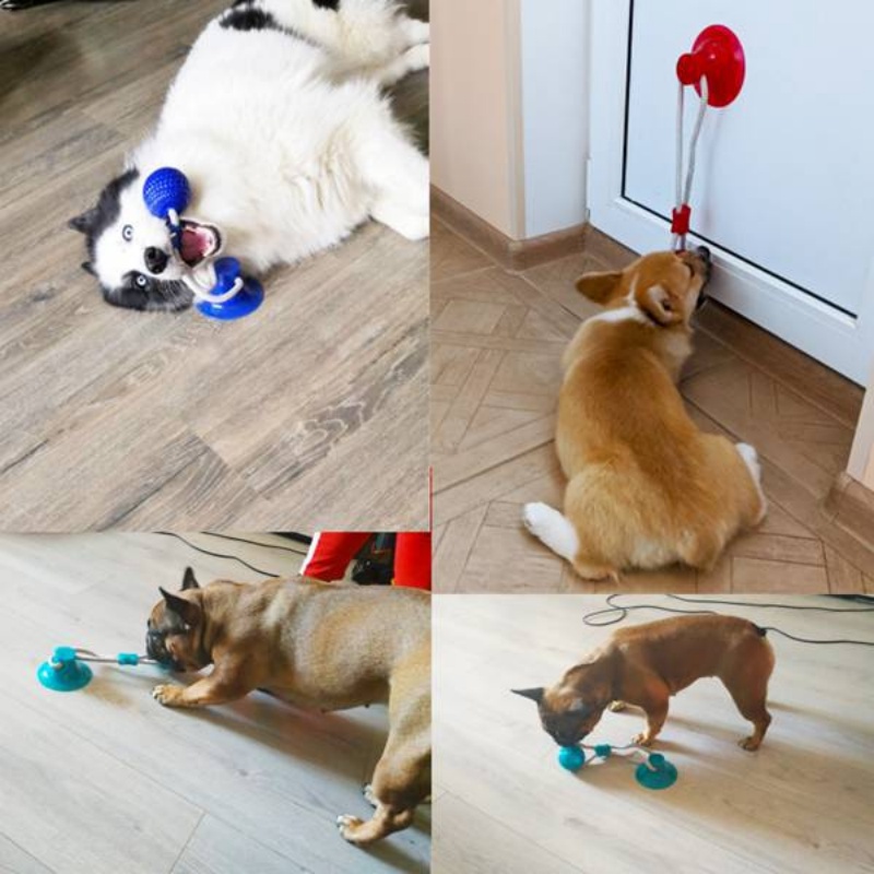 Durable Suction Cup Dog Tug To - Suction Cup Dog Tug Toy ulasan dan harga