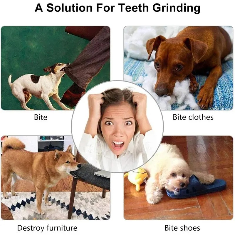 1 Pcs Dog Treat Ball Interacti - Rubber Treat Dispensing Dog Toy ulasan dan harga
