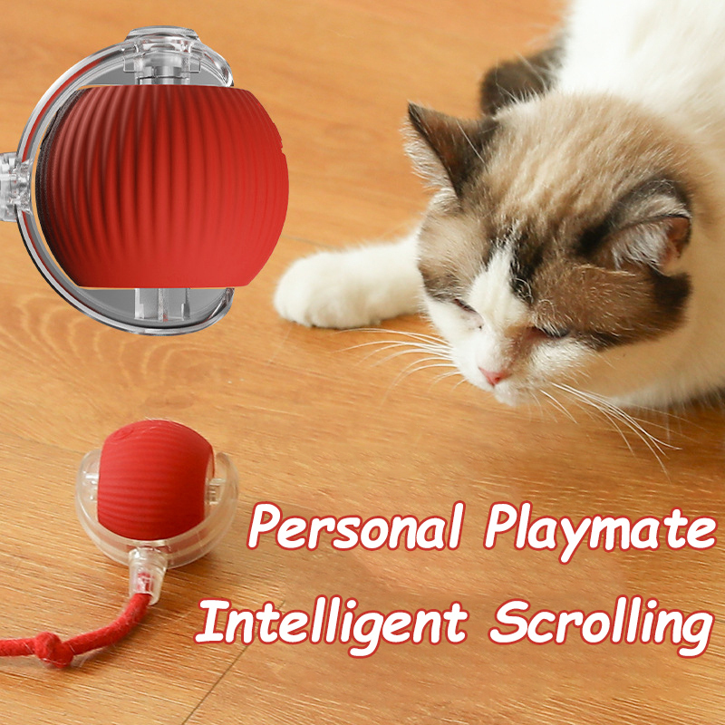 New Cat Interactive Ball Toy A - Automatic Moving Dog Ball ulasan dan harga