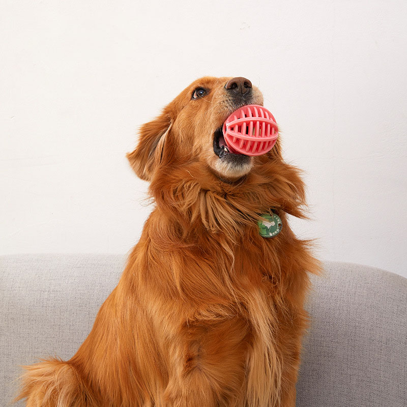 Durable Rubber Treat Dispensin - Rubber Treat Dispensing Dog Toy ulasan dan harga