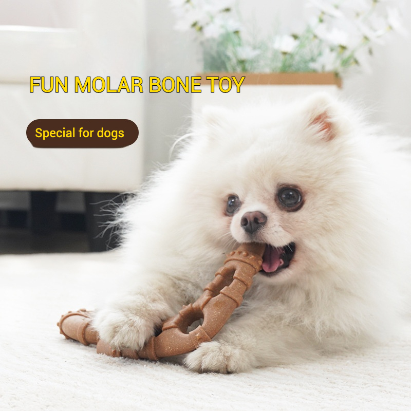 Imitation Bone Molar Dog Toy D - Teeth Cleaning Dog Chew Bone ulasan dan harga