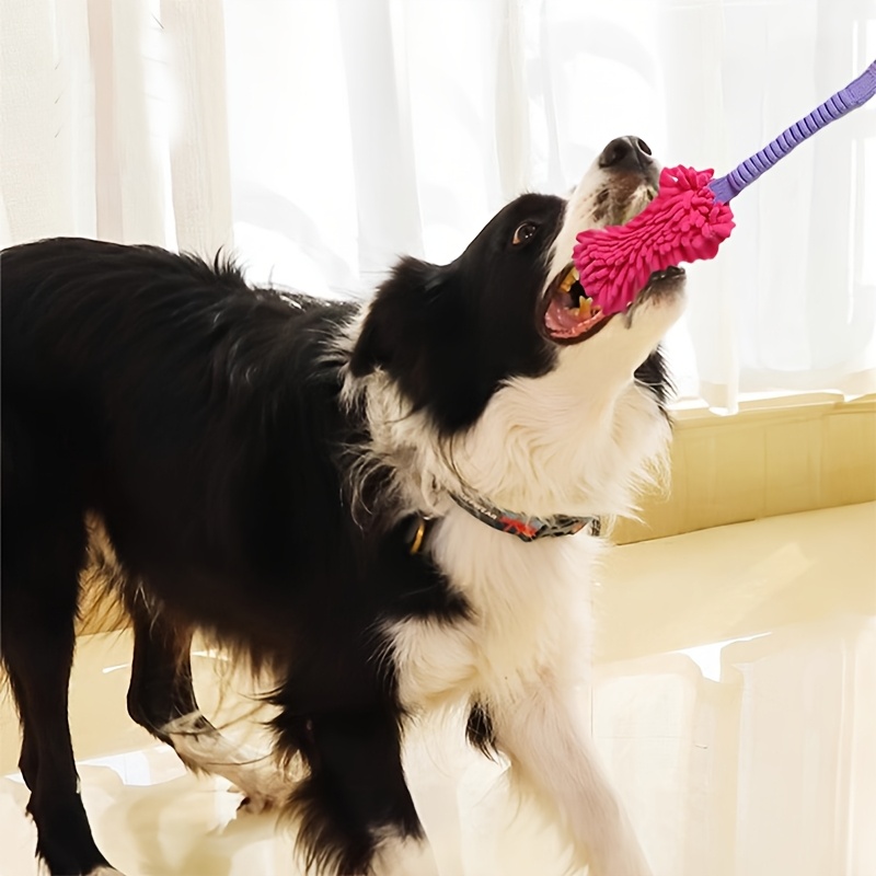 Durable Dog Toys for Aggressiv - Dog Rope Toy Aggressive Chewers ulasan dan harga