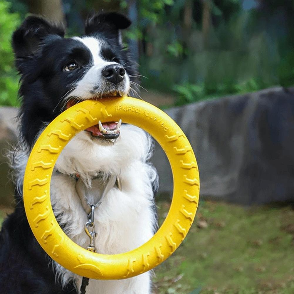 Dog Ring Toys Indestructible C - Suction Cup Dog Tug Toy ulasan dan harga