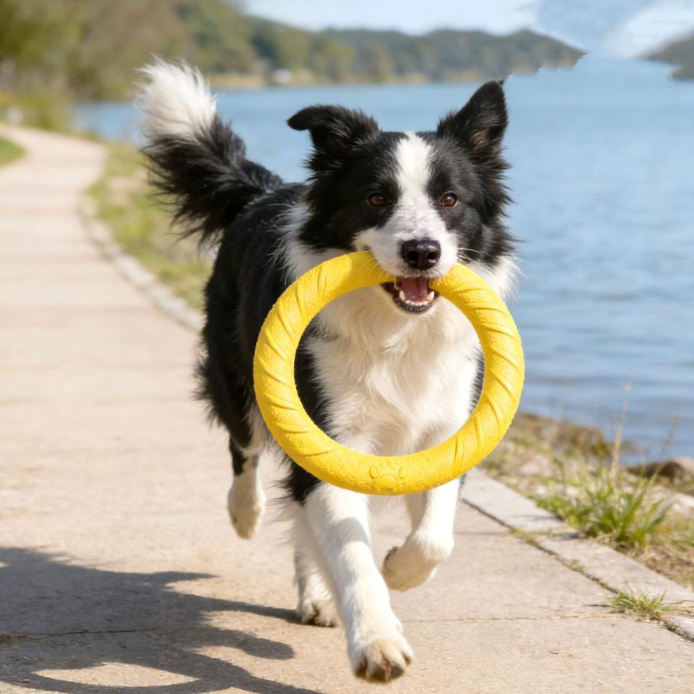 Dog Ring Toys Indestructible C - Suction Cup Dog Tug Toy ulasan dan harga