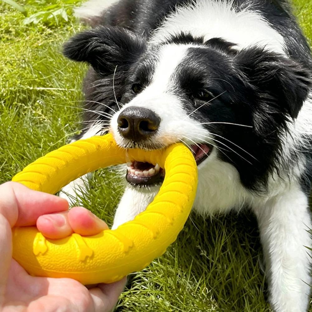 Dog Ring Toys Indestructible C - Suction Cup Dog Tug Toy ulasan dan harga