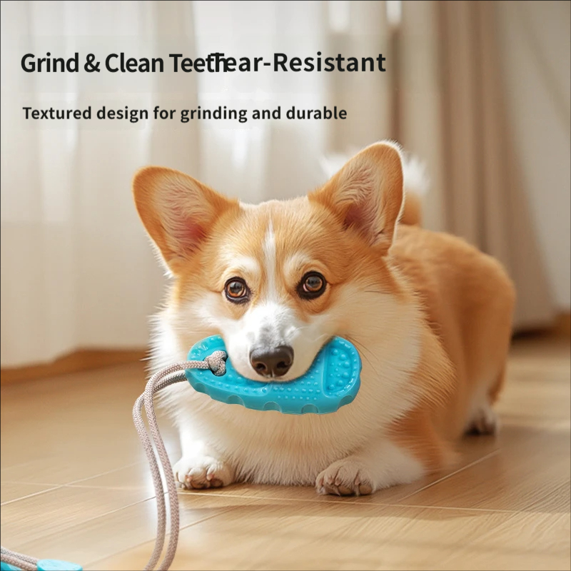 Suction Cup Dog Tug Toy Intera - Suction Cup Dog Tug Toy ulasan dan harga