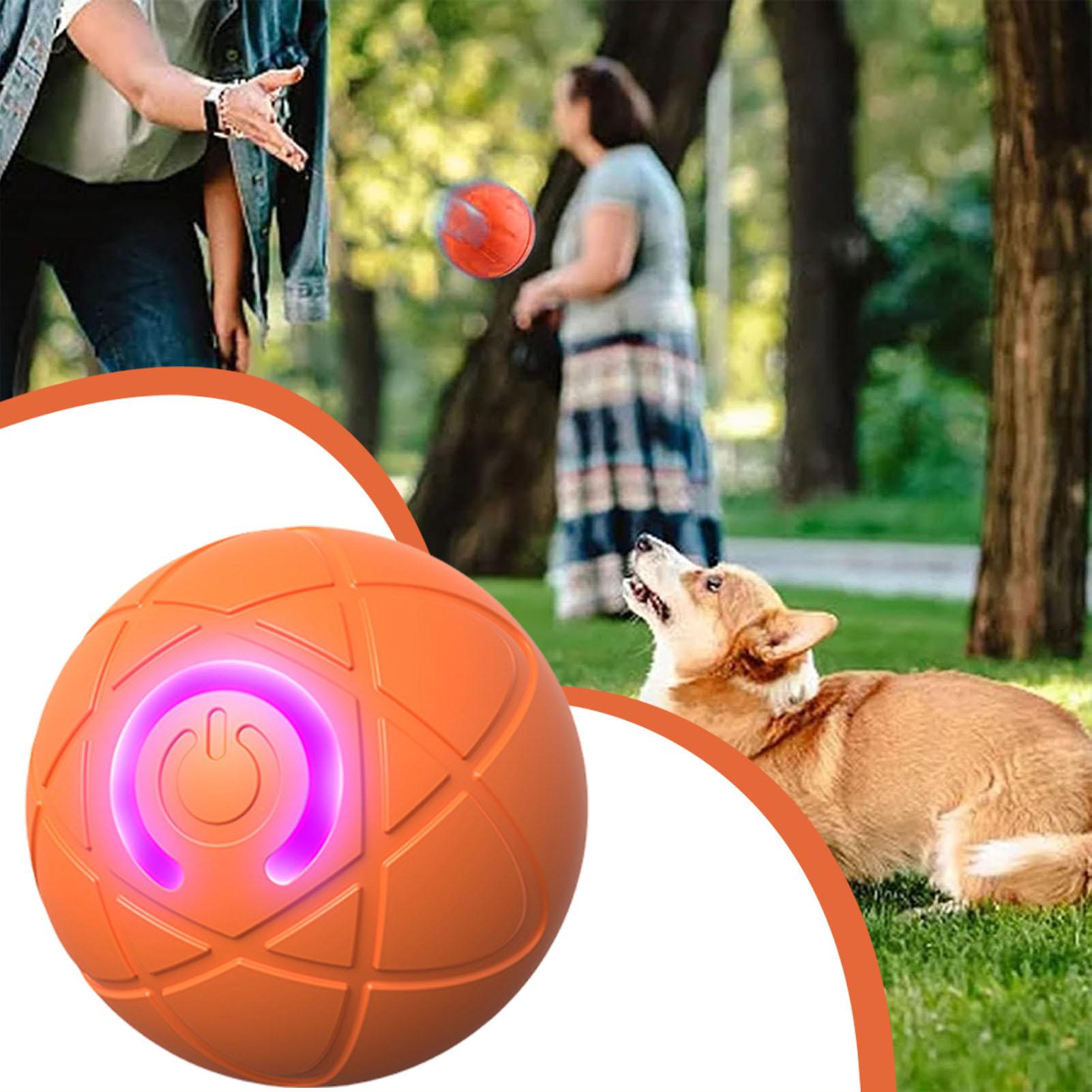 Dog Toy Ball Interactive Rolli - Automatic Moving Dog Ball ulasan dan harga