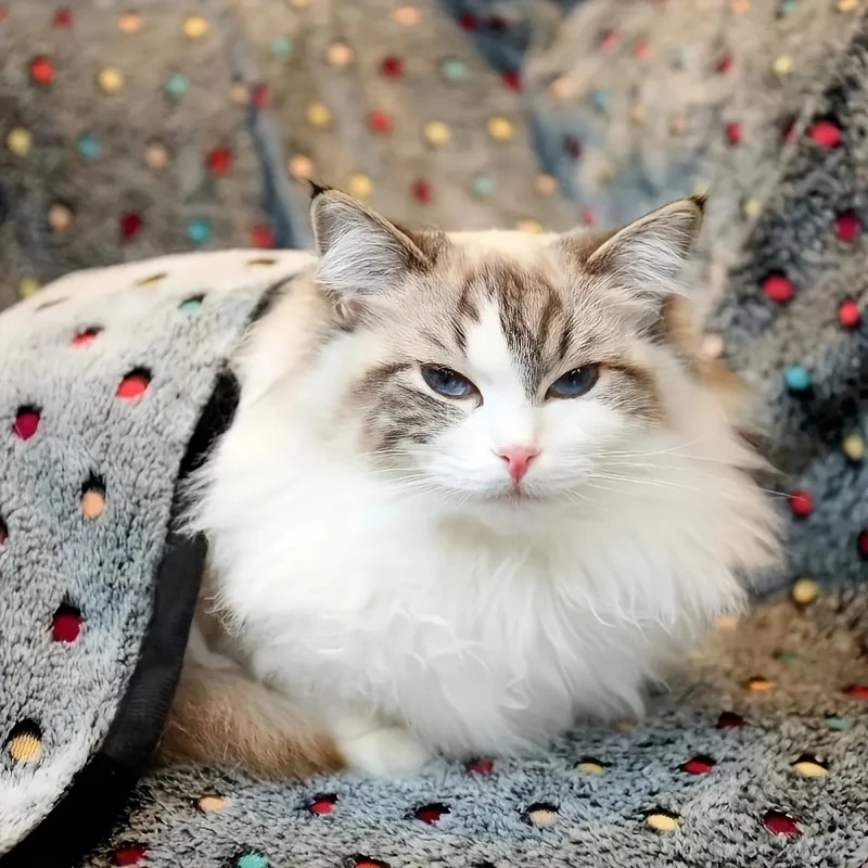 3PCS Soft Fluffy Pet Blanket C - Pet Beds ulasan dan harga