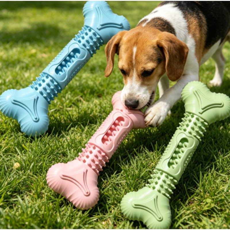 New Durable Pet Chew Toy Set D - Teeth Cleaning Dog Chew Bone ulasan dan harga