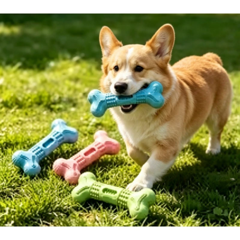 New Durable Pet Chew Toy Set D - Teeth Cleaning Dog Chew Bone ulasan dan harga