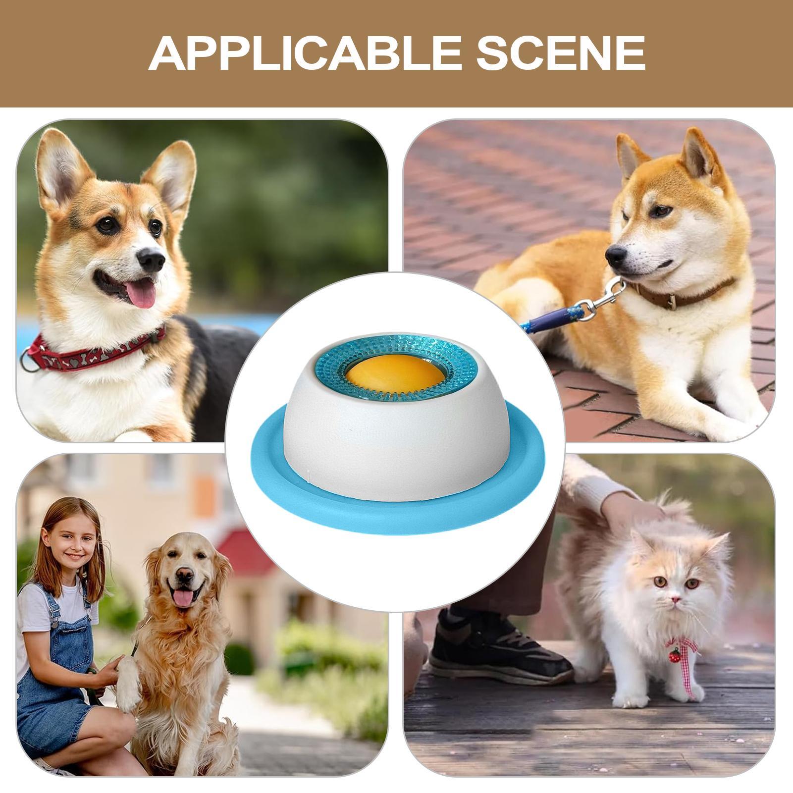 Dog Treat Toy Pet Feeding Acce - Dog Puzzle Feeder Toy ulasan dan harga